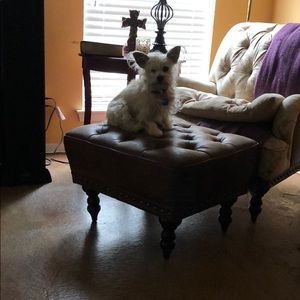 Meet your Posher, Letty